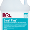 BURST PLUS DRY FOAM SHAMPOO 4/1 GAL/CS